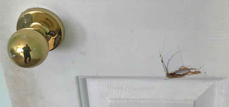 interior door hole repair Coral Gables