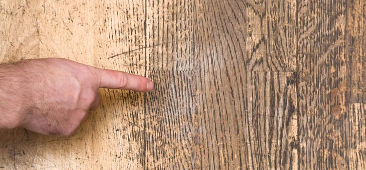 Wood Door Scratch Repair in Coral Gables